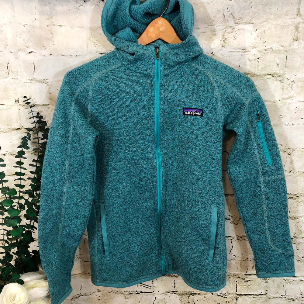 Patagonia Blue Synchilla Zip Hooded Fleece